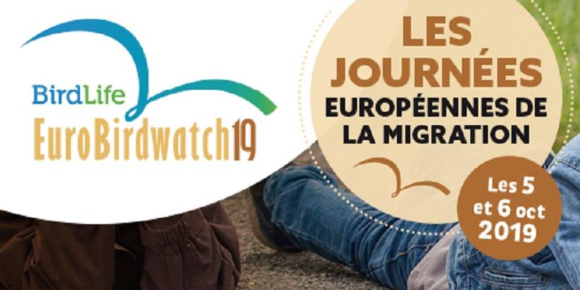 euro-bird-watch-2019-parc-calanques-marseille-cassis-la-ciotat.jpg