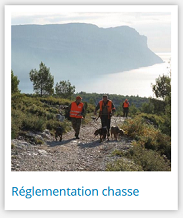 Réglementation chasse